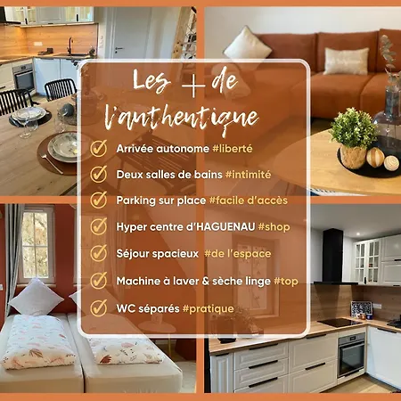 아파트 L'authentique Spacieux Duplex 2 Salles De Bains 헤게나우
