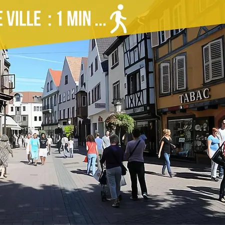 L'authentique Spacieux Duplex 2 Salles De Bains Appartamento Haguenau