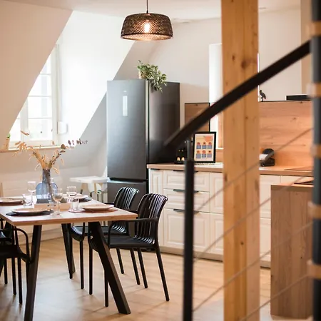 L'authentique Spacieux Duplex 2 Salles De Bains Appartamento Haguenau