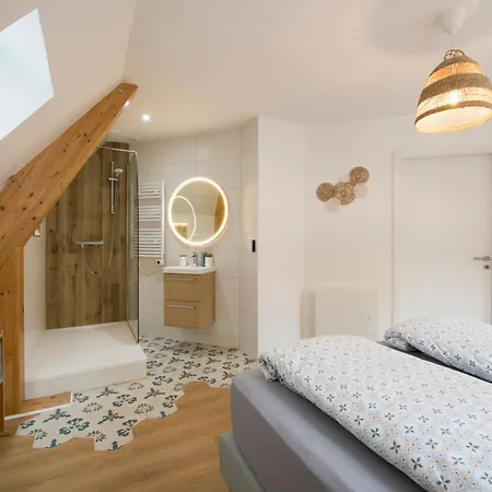 L'authentique Spacieux Duplex 2 Salles De Bains Haguenau