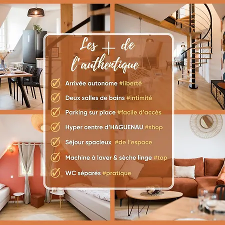 L'authentique Spacieux Duplex 2 Salles De Bains * Haguenau